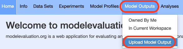 Model output